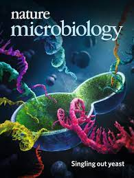 The adhesin RadD enhances Fusobacterium nucleatum tumour colonization and colorectal carcinogenesis